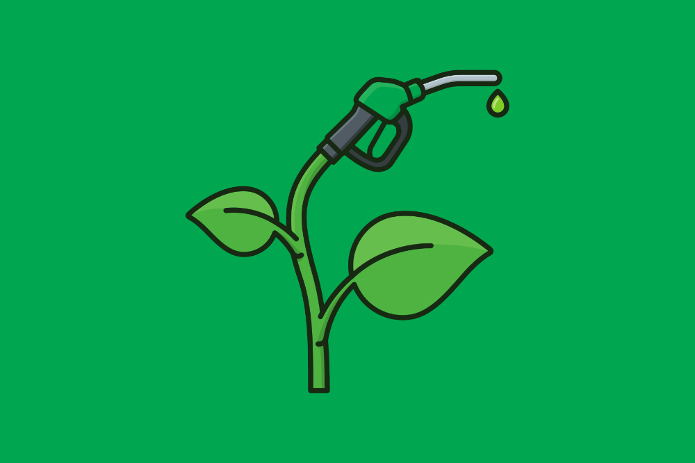 e-fuel e bio-fuel