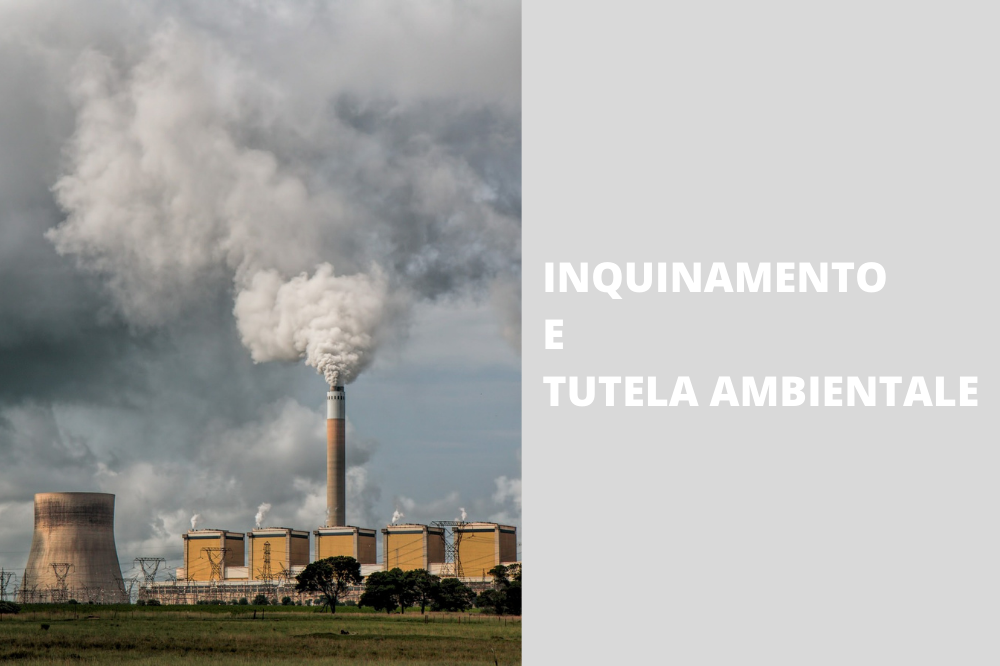 inquinamento e tutela ambientale